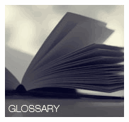 Open Door Miami Real Estate Glossary